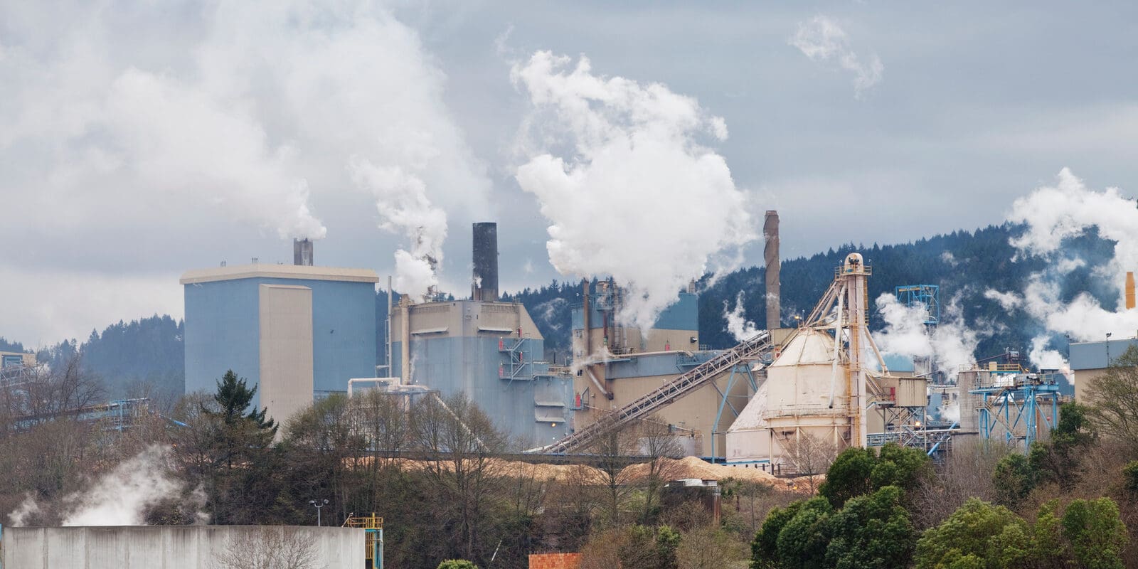 Crofton pulp and paper mill.